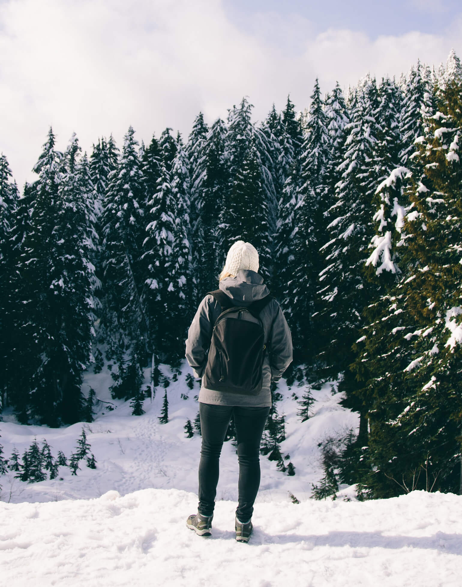 Pelagia grafisk profil